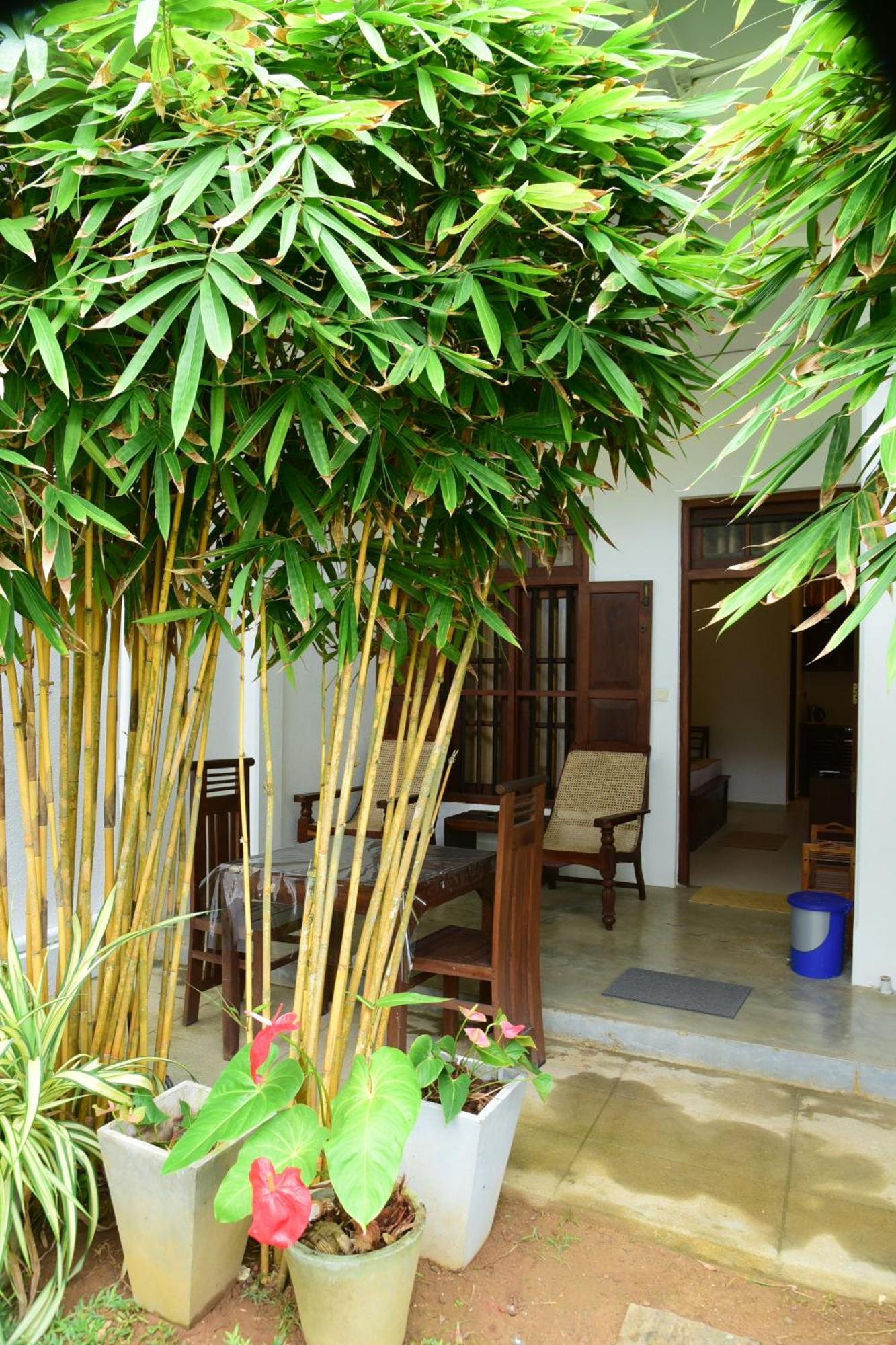 Hotel Tranquil Hikkaduwa Zewnętrze zdjęcie